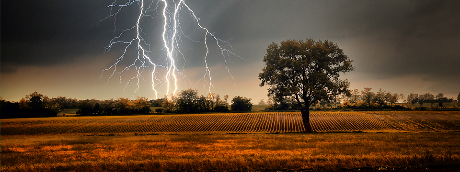 Lightening striking in field