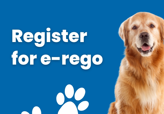 Register to receive your dog registration papers by email.