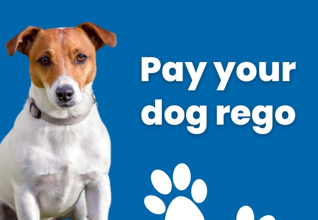 Pay your dog registration online.