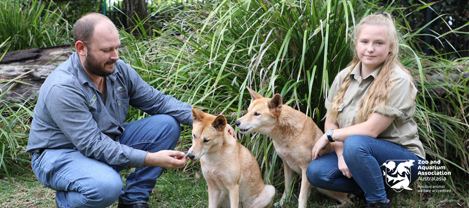 people posing with dingos for zoo experience