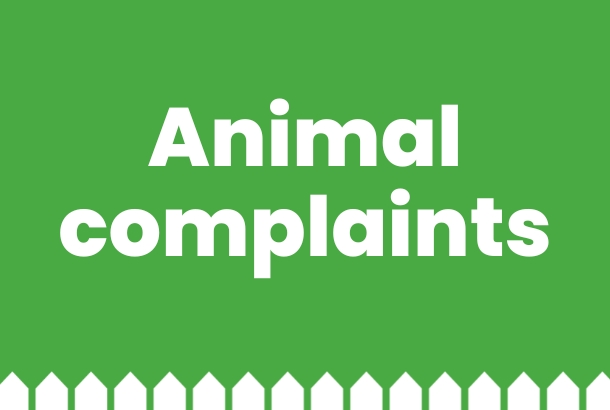 Animal complaints