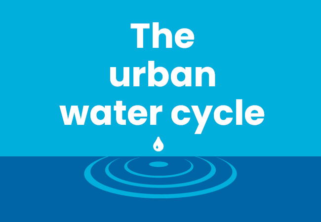 The urban water cycle