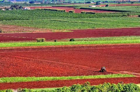 Cane-farming-sugar-red-dirt-tractor-bundaberg.jpg