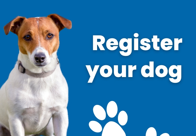 Register your dog online.